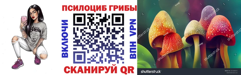 закладки  Павловская  Галлюциногенные грибы Psilocybe 